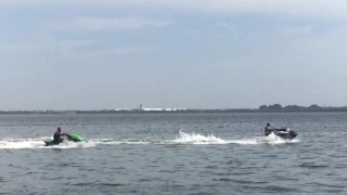 Shark on the water on Clearwater FL