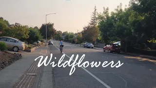 Wildflowers | A Short Film by Noah Vincent-Blatter