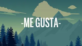 Shakira & Anuel AA – Me Gusta (Letra/Lyrics)