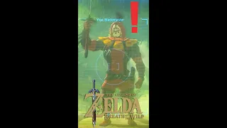 Yiga Clan Steals the Master Sword - BoTW #Shorts