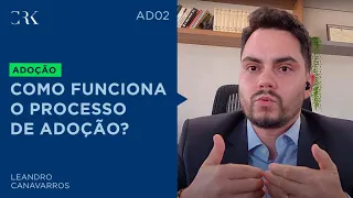 Adoção 2 - Como funciona o processo de adoção?