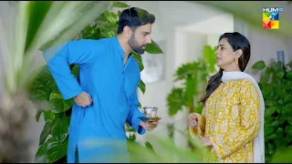 Apko Pata Hai Mein Kya Kam Karti Hun..? #amarkhan #noorhassan - Bus Hostess - HUM TV