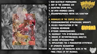 Golem of Gore / Lipoma - The Stench of Organs... split CD FULL ALBUM (2022 - Goregrind)