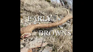 A Wonderful Tine Season 1, Episode 1 - Shed Hunting For a fresh brown Elk set in Idaho in March 2024