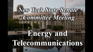 Senate Standing Committee on Energy and Telecommunications - 06/07/18