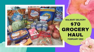 $70 Walmart Grocery Haul and Meal Plan | February 2022