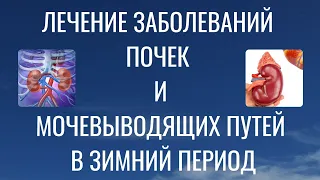 Здоровье ПОЧЕК с точки зрения традиционной китайской медицины | ТЕСТ: ЗДОРОВЫ ЛИ ВАШИ ПОЧКИ? |