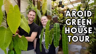 TROPICAL HOUSEPLANT OASIS - an updated tour of the Growing Grounds Greenhouse with AJ