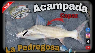 Pesca y Acampada Rio Cauca - La Pedregosa