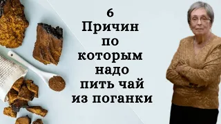 6 причин пить чай из поганки