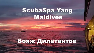 Дайвинг с Огромной Акулой на Мальдивах .Ночной Diving Сафари с акулами на Мальдивах. Трейлер .