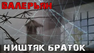 Валерьян - Ништяк браток