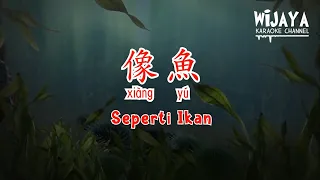 像魚 (伴奏) Xiang Yu (Seperti Ikan) No Vocal