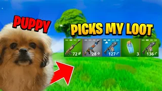 My Puppy Picks My Loot in Fortnite!