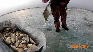 РЫБАЛКА НА ОЗЕРЕ АБАЙ, ВЕСЕННИЙ КАРАСЬ В ЛУНКУ НЕ ЛЕЗЕТ, РВЁТ ЛЕСКИ И МОРМЫШКИ! РЫБАЛКА В КАЗАХСТАНЕ