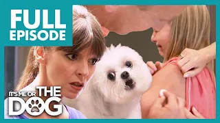 Victoria SHOCKED When Child Gets Bitten by 'Pure Evil' Dog | Full Episode | It's Me or the Dog