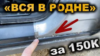 "ВСЯ В РОДНЕ"! Что за ДИЧЬ продают ПЕРЕКУПЫ за 150 тысяч рублей в 2022 году???