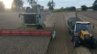 Claas Lexion 750 TT Wheat Harvest 2022