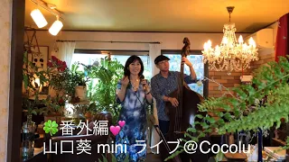 番外編〜山口葵 miniライブ@cocolu