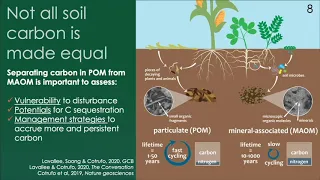 Carbon sequestration in soils | Francesca Cotrufo | Global Carbon Management Workshop