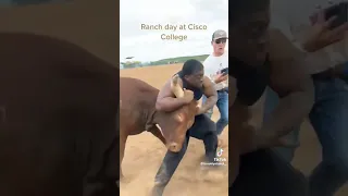 toro vs human