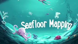 Beyond the Wow - 5 Fun Facts About Mapping The Ocean Floor! | Nautilus Live
