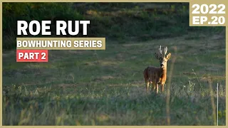 A GIANT COMES!!!💥 BOWHUNTING ROE DEER 💥 HUNTING ACTION 💥 CALLING ROE BUCKS during RUT [2020.EP20]