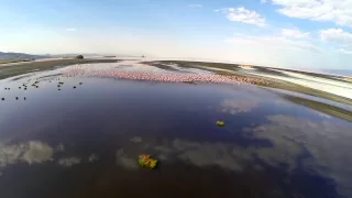 Epic Flamingo flight over Lake Natron  - Tanzania Experience Teaser