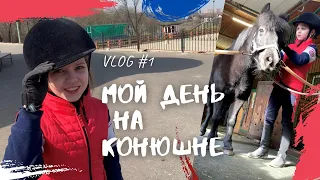 КОНОБЛОГ// Vlog#1. МОЙ ДЕНЬ НА КОНЮШНЕ