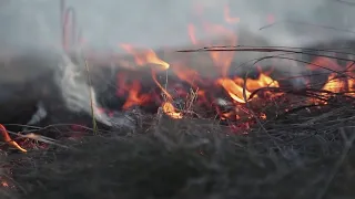 Agricultural burning in Mexico is bringing hazy skies to San Antonio