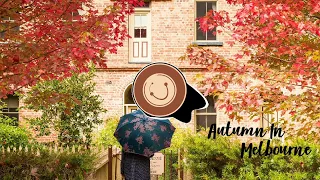 Autumn In Melbourne (Guitar Solo) - Mùa Thu ở Melbourne