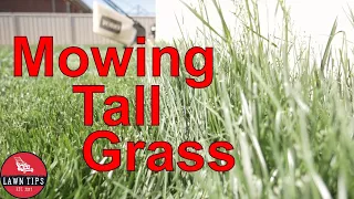 How To Mow Long Grass