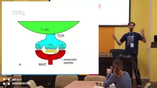 Анализ репертуаров иммунных рецепторов | Вадим Назаров