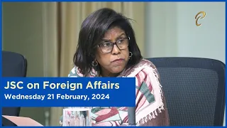 14th Meeting - JSC Foreign Affairs - February 21, 2024 - Cultural Diplomacy