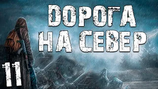 S.T.A.L.K.E.R. Дорога на Север #11. Странное Существо