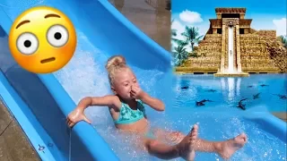 SURPRISING OUR 4 YEAR OLD WITH TRIP TO THE WORLD'S BIGGEST WATERPARK!!!