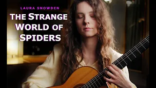The strange world of spiders by Laura Snowden