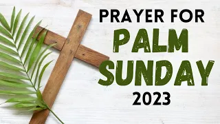 Prayer for Palm Sunday 2023 🙏