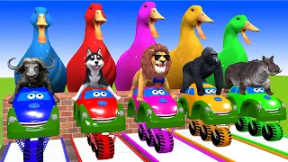 5 Giant Duck, Cow, Elephant, Tiger, Gorilla, Dog, Lion, Sheep, Transfiguration funny animal 2023