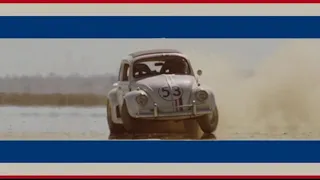 The Love Bug (Music Video)