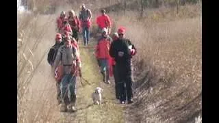 The National Cocker Championship