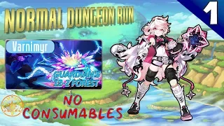 [Elsword NA] Guardian's Forest 12-2 Eternity Winner - Adeleline (No Consumables Run)