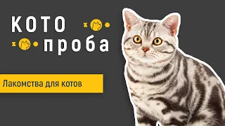 Какое лакомство для котов лучше? Выбирает кот!