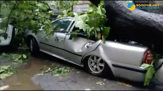 Наслідки негоди у Львові