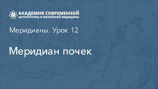 Меридиан почек. Дистанционное обучение рефлексотерапии. Онлайн Академия акупунктуры Акумед.