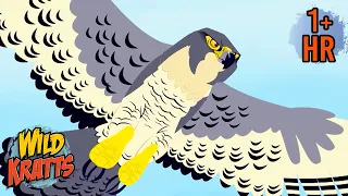 Birds In Action | Amazing Birds Moments | Wild Kratts