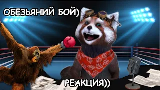 БОКС ОБЕЗЬЯН НА РИНГЕ (шоу орангутанов) | реакция Red Panda