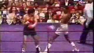 Thomas Hearns v Pipino Cuevas