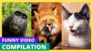 🤣😂 The Funny Animal Videos of 2024! 🤣😂 | BEST Compilation #1 Revealed!