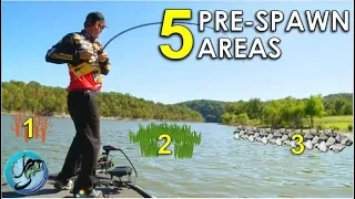 Top 5 Pre-Spawn Bass Fishing Locations | Baits, Cover and Area Tips